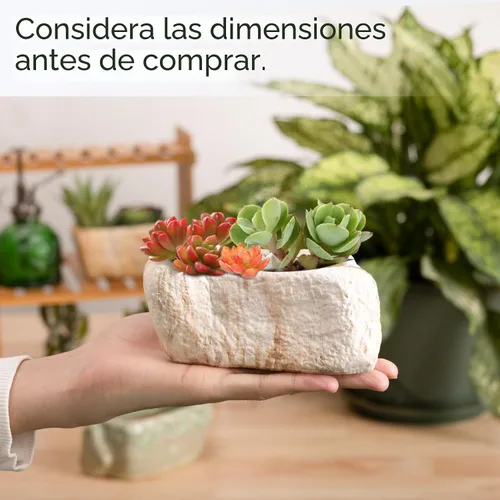 Vista 4 de T4U Maceta de cerámica para suculentas de 5.5 pulgadas con orificio de drenaje, juego de 3, caja rectangular con forma de piedra, contenedores