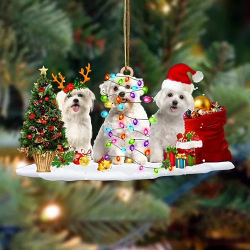 Vista 8 de Nazenti Adorno de Navidad personalizado con amigos Affenpinscher – Adorno de perro personalizado para amantes de las mascotas, acrílico plano