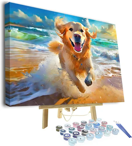 Vista 16 de Kit de pintura por números de playa con rocas para adultos, Moonbend DIY Kit de pintura al óleo, lienzo nocturno, pigmento acrílico, pintura