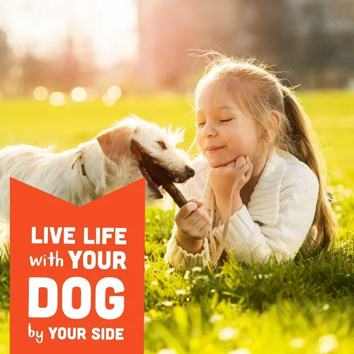 Vista 7 de Cloud Star Corp, Wag More Bark Less Soft & Chewy - Golosinas para perros de mantequilla de maní y manzanas sin granos