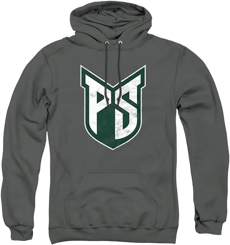 Vista 98 de Distressed College Primary Logo Adult Pullover Hoodie Collection 1 Universidad Estatal de Albany