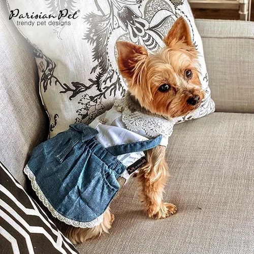 Vista 6 de Parisian Pet Chambray - Vestido para perro - Ligero sin mangas para perro, niña, talla XS Chambray en general