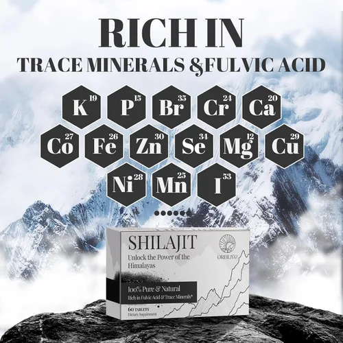 Vista 6 de Shilajit Tablets 1000 MG, 100% orgánico del Himalaya, suplemento Shilajit rico en ácido fúlvico y más de 85 minerales traza para hombres y mujeres
