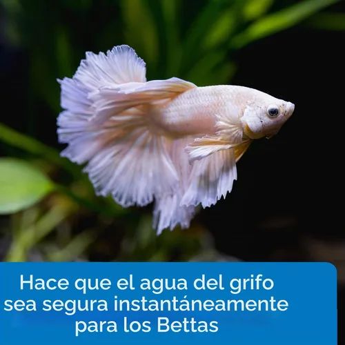 Vista 3 de API Acondicionador de agua Betta Fish Betta Fish Acondicionador de agua dulce para acuario, botella de 1.7 onzas