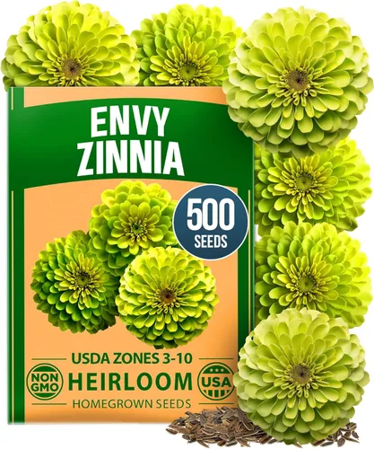 Vista 67 de HOME GROWN Semillas de zinnia rosa – 300 zinnias Luminosa 0.5g, semillas anuales de flores fáciles de cultivar para plantar al aire libre para 2026