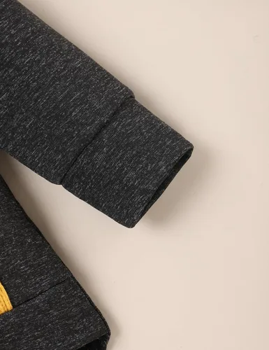 Vista 6 de FoWear Ropa de bebé niño para otoño e invierno, sudadera con capucha de manga larga y pantalones, 2 piezas