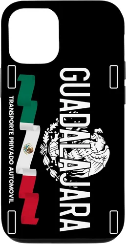 Vista 28 de Guadalajara License Plate Aesthetic, Jalisco Guadalajara Case for iPhone 17