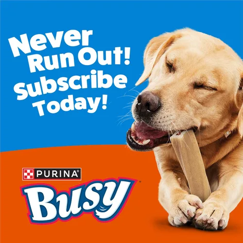 Vista 12 de Purina Busy Bone Dog Chew - Bocadillos para perros