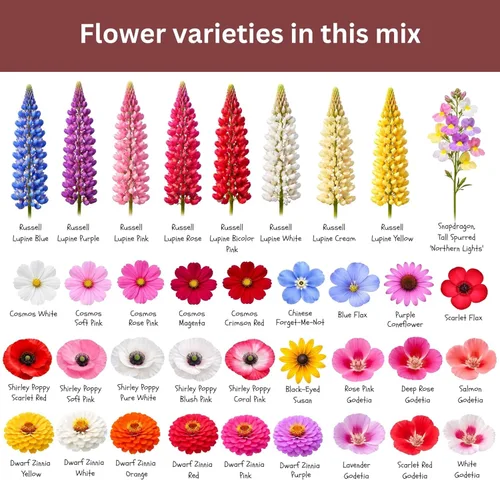 Vista 5 de Mix de semillas de flores silvestres para mariposas y colibríes – Más de 30.000 semillas – Paquete extra grande a granel resellable de 1 oz