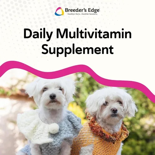 Vista 4 de El borde del criador en el medio para ella, suplemento multivitamínico diario para la cría de perros y gatos, llena los vacíos nutricionales y apoya