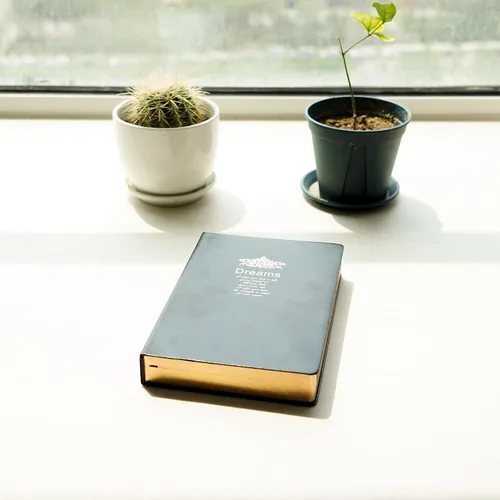 Vista 8 de BenOpinion Cuaderno rayado, cubierta de piel sintética negra, papeles gruesos de alta calidad de 3.53 oz/m² con borde dorado, 416 páginas A5