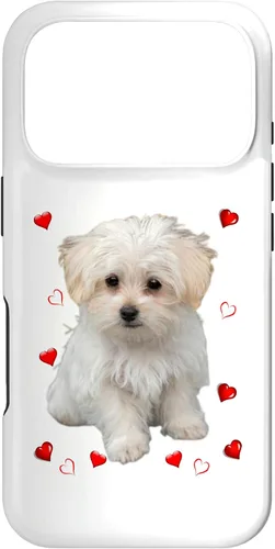 Vista 29 de Funda para iPhone 11 Maltipoo Mix Fans para amantes de los perros maltés