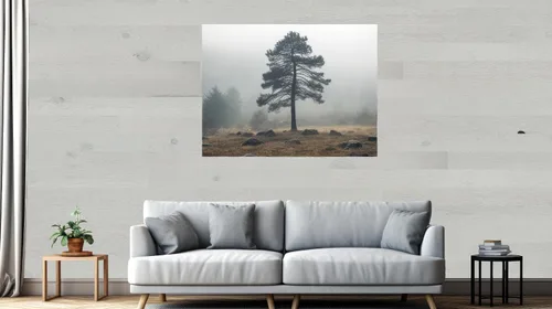 Vista 15 de Timberchic Tablones de pared de madera de pino – Aplicación simple de revestimiento de pared de despegar y pegar para decoración de paredes y Baxter