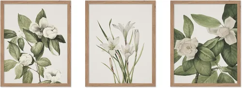 Vista 52 de Poster Master Póster botánico vintage de 3 piezas, estampado floral retro, regalo para artistas, amigos, flores de acuarela, brillante, azul