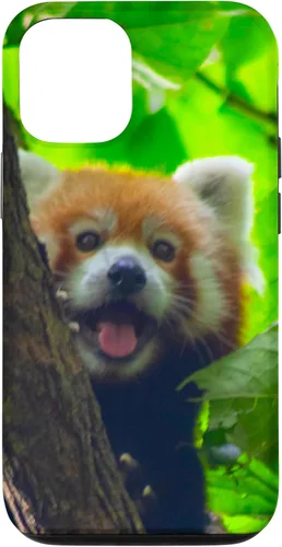 Vista 28 de Cute Funny Red Panda Smiling Tree Animal Nature Lover Gift Case for iPhone 17