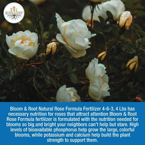 Vista 3 de Bloom & Root Gránulos naturales del fertilizante de la comida de Rose 4-6-3 4 libras
