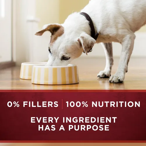 Vista 8 de Purina ONE SmartBlend True Instinct - Alimento en lata para perros adultos
