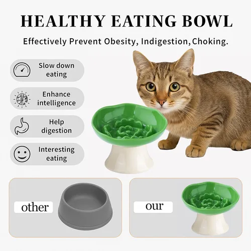 Vista 4 de Cuenco elevado de cerámica para alimentación lenta para gatos y perros pequeños, plato elevado inclinado para comida de mascotas, diseño anti-vómito