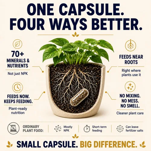 Vista 4 de Premium Alimento para plantas – Estacas de fertilizantes orgánicos – 100