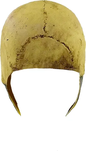 Vista 7 de Skull Bone Mask