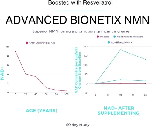 Vista 4 de Advanced Bionetix Cápsulas NMN Resveratrol Betaína (TMG) – NAD+ refuerzo de apoyo para energía celular, longevidad, salud metabólica vitalidad