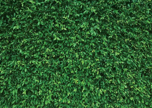 Vista 9 de Fondo de pared de césped de 5 x 5 pies, hojas verdes, césped, fiesta, fotografía, decoración de vegetación para cumpleaños, baby shower, boda