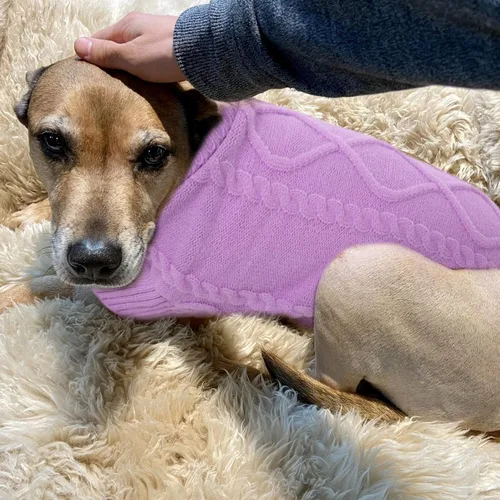 Vista 103 de Queenmore - Suéter de punto trenzado con cuello alto para perros pequeños, para climas fríos, para chihuahua, bulldog, teckel, carlino y yorkie, XS