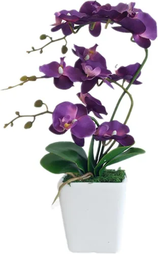 Vista 19 de Arreglos de macetas de plantas de flores de orquídea Phalaenopsis de seda artificial de 15 pulgadas de alto (verde manzana)