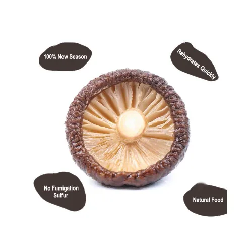 Vista 6 de Setas Shiitake secos.