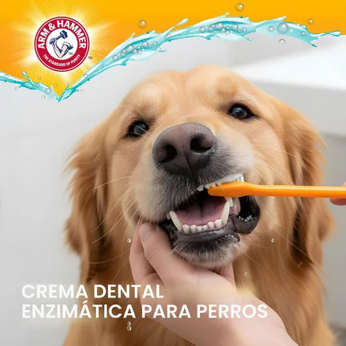 Vista 4 de Arm & Hammer Complete Care Pasta dental enzimática para perros, sabor a pollo, pasta dental enzimática para perros, bicarbonato de sodio + fórmula