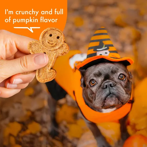 Vista 4 de Buddy Biscuits Golosinas crujientes para perros de Halloween sin trigo con calabaza, caja de 14 onzas