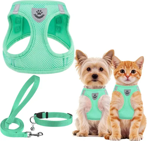 Vista 42 de PUPTECK - Arnés, collar y correa ajustables, sin tirones, para perros pequeños y medianos, cachorros y gatos, pechera reflectante acolchada de malla