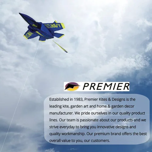 Vista 8 de Premier Kites Plano Ángel Azul 3D