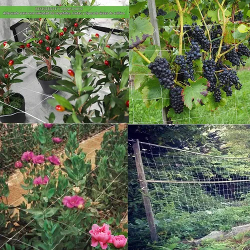Vista 5 de BaseGoal - Red de celosía flexible para plantas de jardín, vid, cultivos, para todo tipo de clima