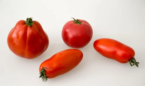 Vista 8 de Semillas Tomate en forma de pimiento indeterminado rojo largo vegetal reliquia sin OMG