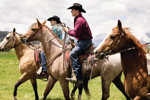 Vista 3 de Ariat Camisa de sarga con logotipo del equipo para hombre