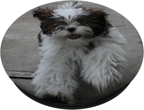Vista 2 de Cute Shih-Tzu Fuzzy Perros Fuzzy – Sparty y Bella – PopSockets Grip y soporte para teléfonos y tabletas