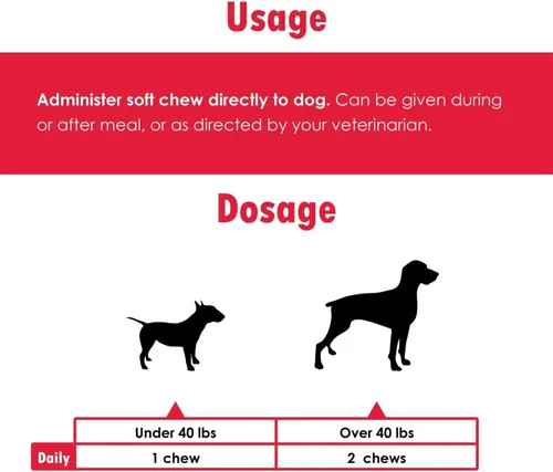 Vista 3 de Probióticos Proflora para perros: salud intestinal completa y apoyo inmunológico. Probióticos digestivos de múltiples cepas fáciles de usar.
