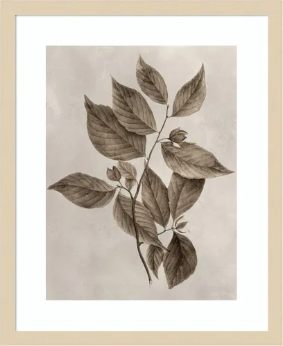 Vista 15 de Amanti Art Lienzo decorativo para pared enmarcado de 24 x 20 pulgadas, muestra de árbol III de Vision Studio, arte de pared de naturaleza