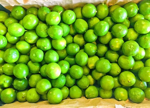 Vista 5 de KEJORA Limas frescas (3 LB)