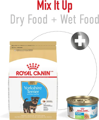 Vista 6 de Royal Canin Breed Health Nutrition Yorkshire Terrier Cachorro Alimento Seco para Perros, Bolsa de 2.5 lb
