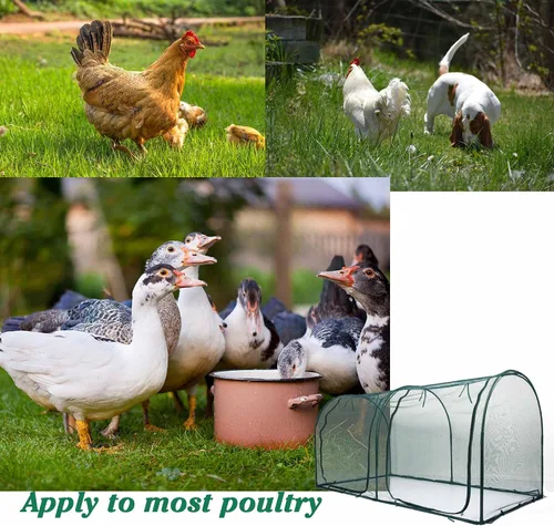 Vista 5 de Gallinero portátil para gallinero, casa de aves de corral, red de jardinería al aire libre, recinto fácil de instalar para animales pequeños