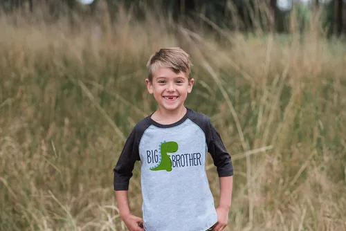Vista 3 de 7 ate 9 Apparel Camiseta de béisbol gris con diseño de dinosaurio para niño