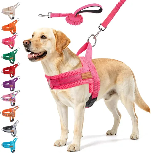 Vista 10 de BEAUTYZOO Arnés para Perros Pequeños, Juego de Arnés y Correa sin Tirones, Arnés de Pecho para Cachorros a Prueba de Escapes con Mango, Arnés Beige