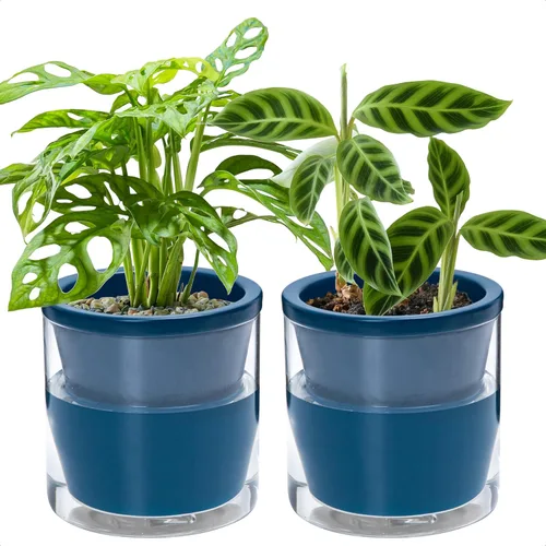 Vista 11 de D'vine Dev Maceta de Diseño de Riego Automático de 4 Pulgadas para Plantas de Interior, Maceta de Terracota Azul con Vaso Cilíndrico de Vidrio