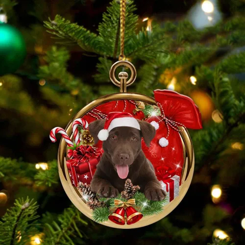 Vista 17 de Nazenti Adorno personalizado de bola de Navidad de pastor australiano – Adorno de perro personalizado para amantes de las mascotas, colgante