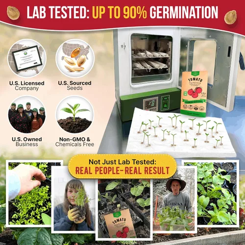Vista 2 de Paquete de semillas de cereza grandes de tomate de 0.03 oz – Más de 300 semillas de tomate tradicionales sin OMG para plantar verduras en paquete