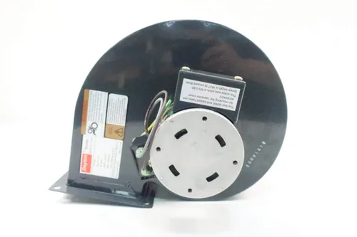 Vista 4 de Dayton Soplador modelo 1TDR3