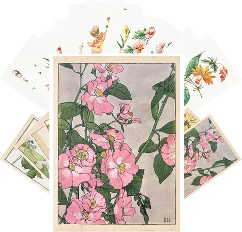 Vista 4 de PIXILUV Johann - Postales vintage (24 unidades), diseño de flores salvajes, jardín, aun vida, arte de pintura de museo antiguo, reimpresión