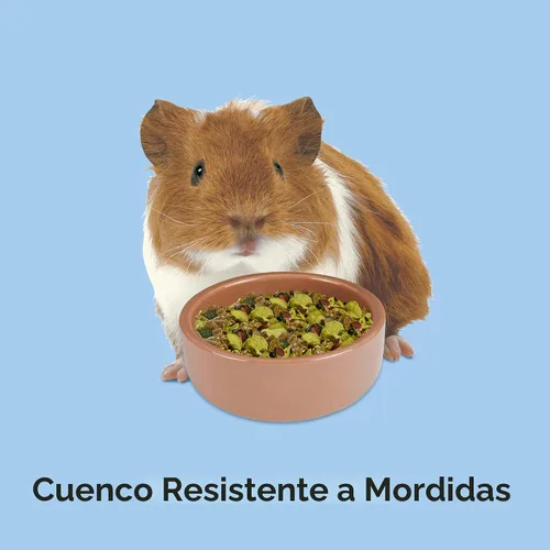 Vista 3 de Cuenco de cerámica de gres para hámsteres Kaytee, marrón, 7.6 cm
